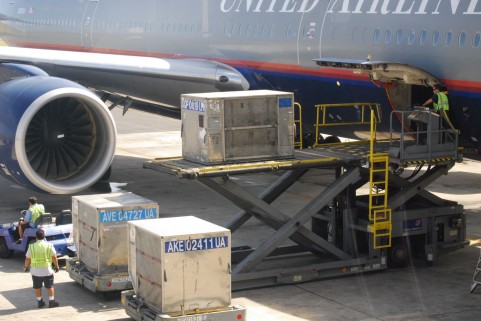 ○○○○○○○○イメージ